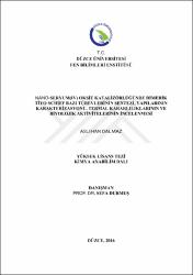Küçük Resim