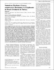 Küçük Resim