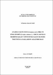 Küçük Resim