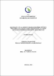 Küçük Resim