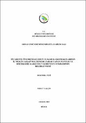 Küçük Resim