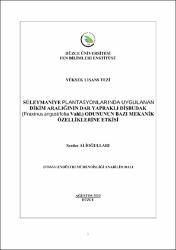 Küçük Resim