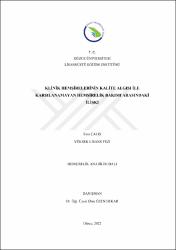 Küçük Resim